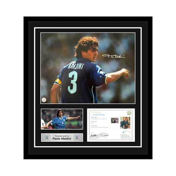 万博网址 APP